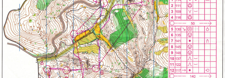 EYOC Relay 2007 Hungary