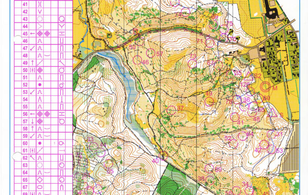 JWOC 2010 Relay Denmark