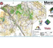 EOC Relay 2014 Portugal