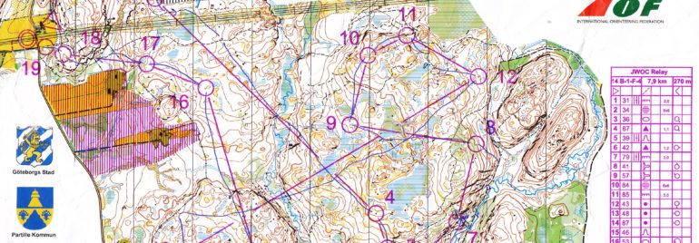 JWOC Relay 2008 Sweden