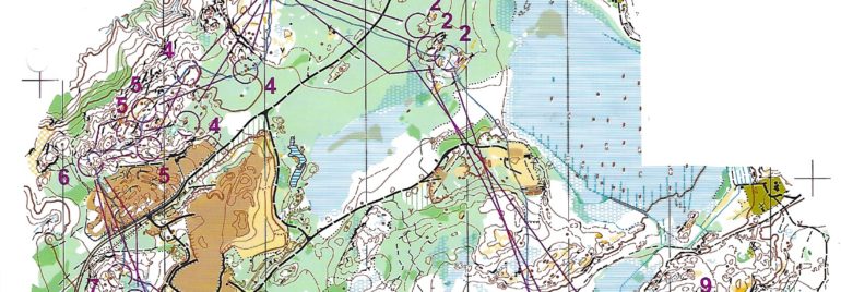 WOC Relay 2016 Sweden