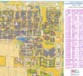 JWOC 2010 Sprint Denmark