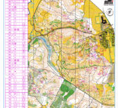 JWOC 2010 Relay Denmark