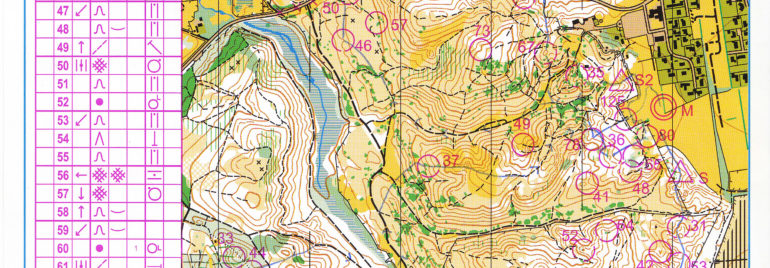 JWOC 2010 Relay Denmark